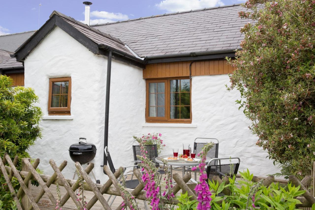 Croft Farm & Celtic Cottages Кардиган Екстериор снимка