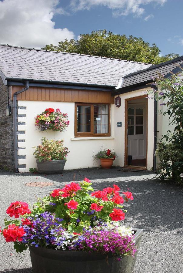 Croft Farm & Celtic Cottages Кардиган Екстериор снимка